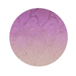 Zeck Zander Pelagi Set (Vio Pearl)